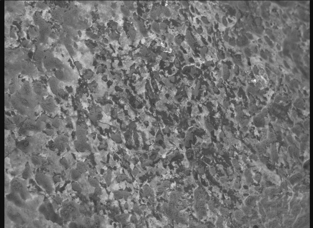 Mars image captured by SHERLOC_WATSON on Perseverance