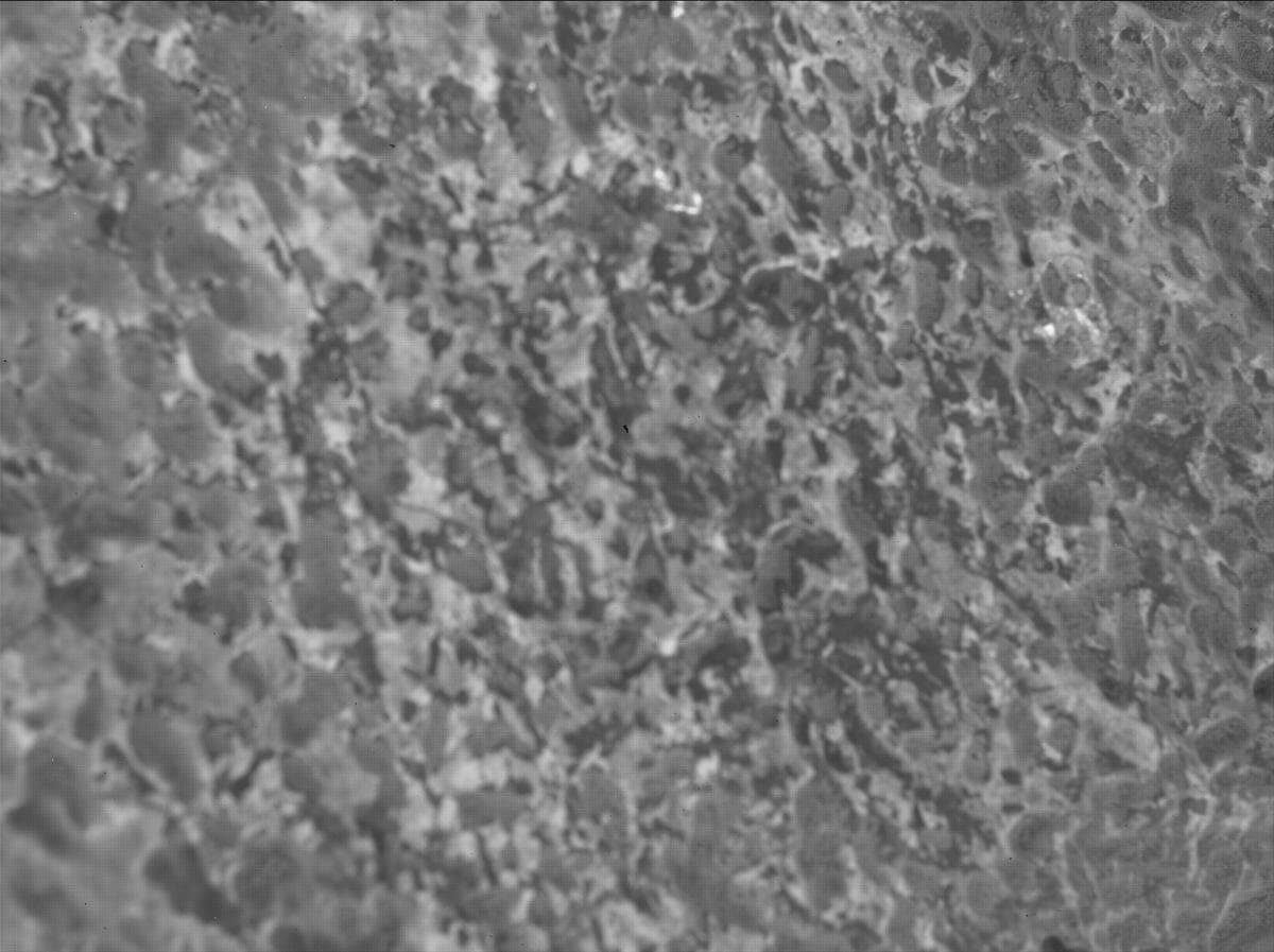 Mars image captured by SHERLOC_WATSON on Perseverance
