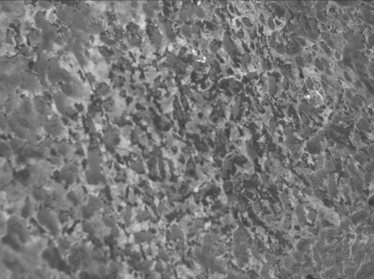 Mars image captured by SHERLOC_WATSON on Perseverance