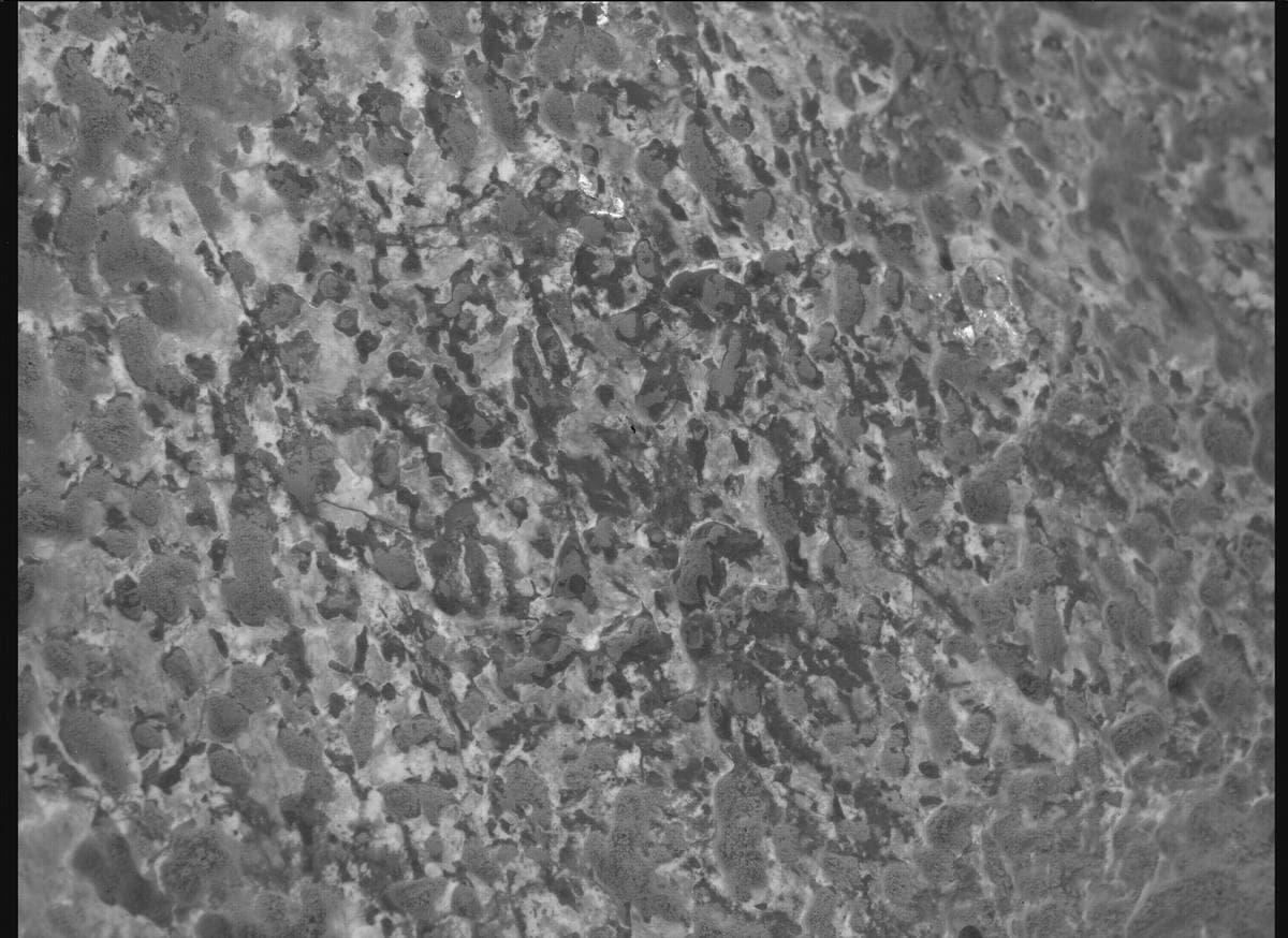 Mars image captured by SHERLOC_WATSON on Perseverance