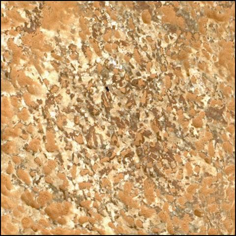 Mars image captured by SHERLOC_WATSON on Perseverance