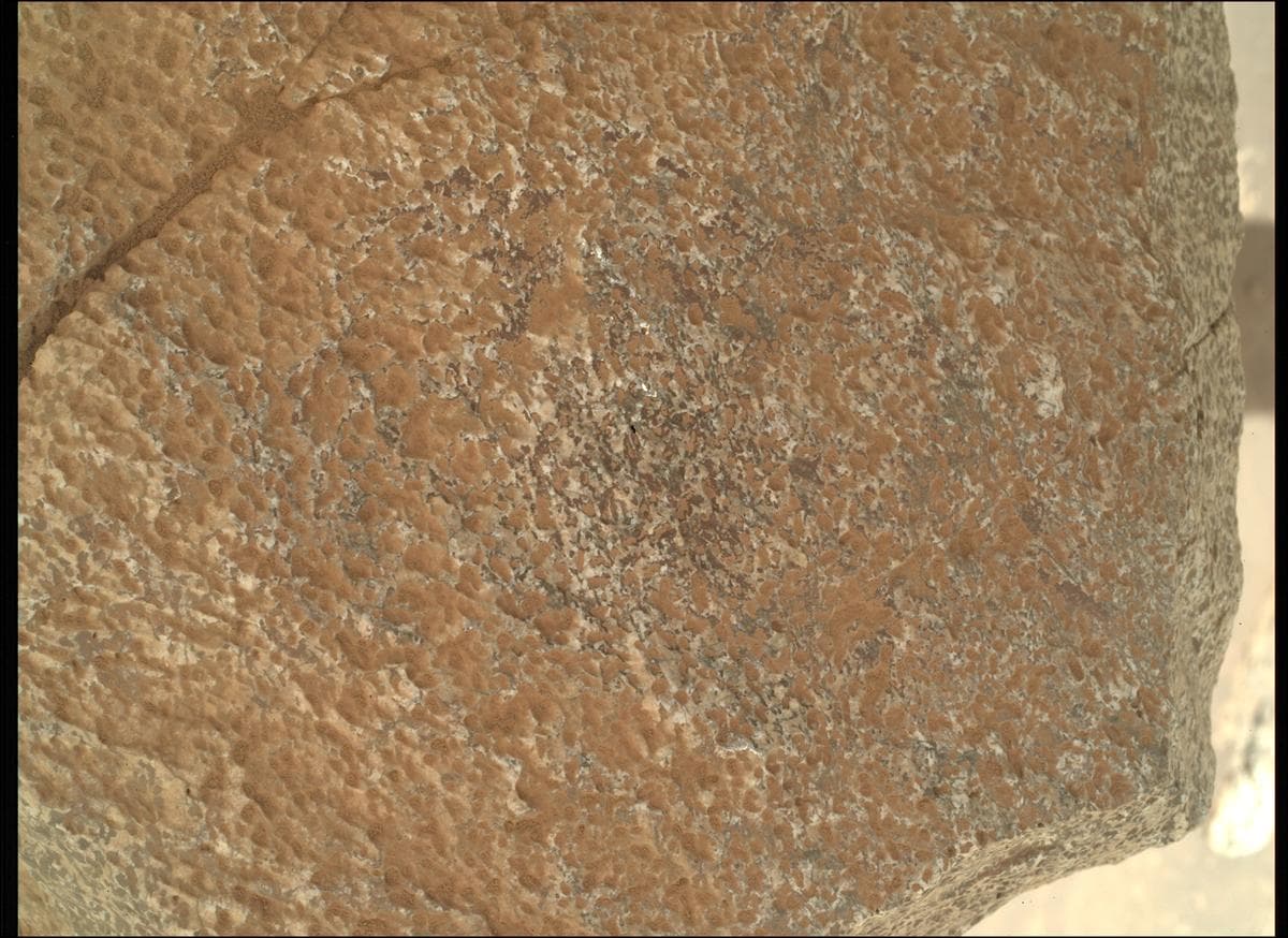 Mars image captured by SHERLOC_WATSON on Perseverance