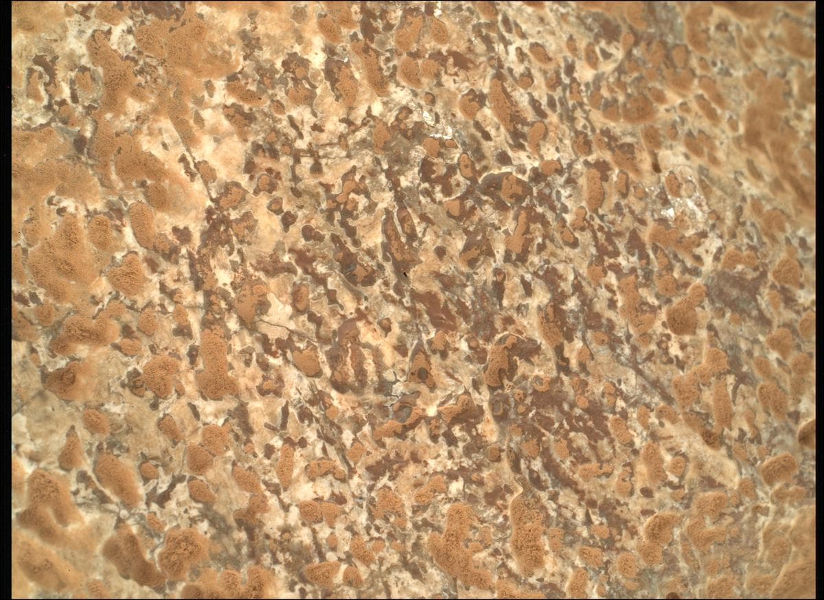 Mars image captured by SHERLOC_WATSON on Perseverance