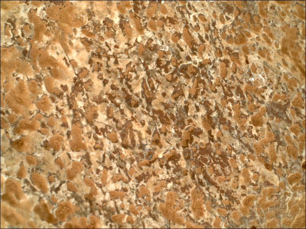 Mars image captured by SHERLOC_WATSON on Perseverance