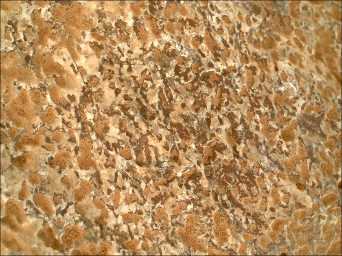 Mars image captured by SHERLOC_WATSON on Perseverance