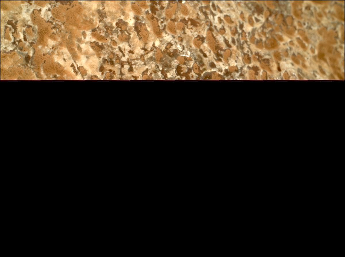 Mars image captured by SHERLOC_WATSON on Perseverance