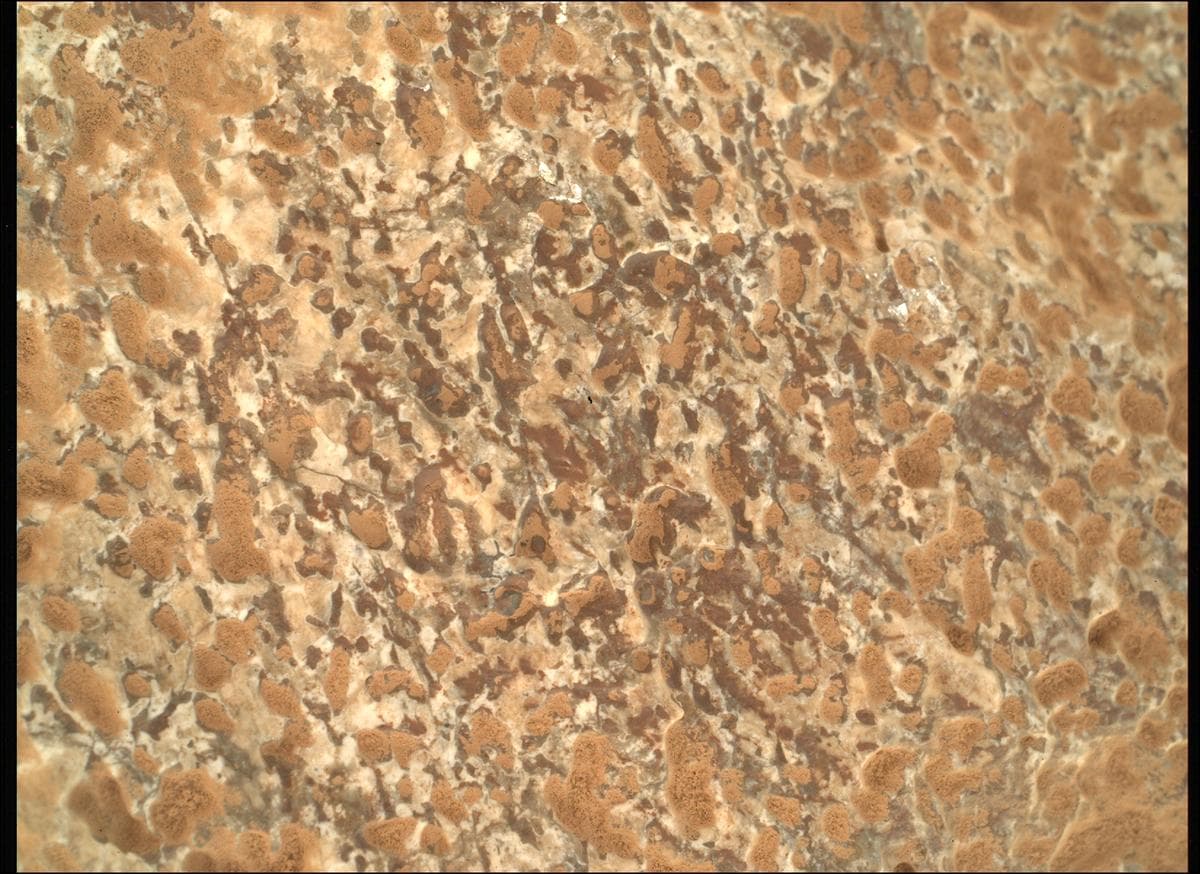 Mars image captured by SHERLOC_WATSON on Perseverance