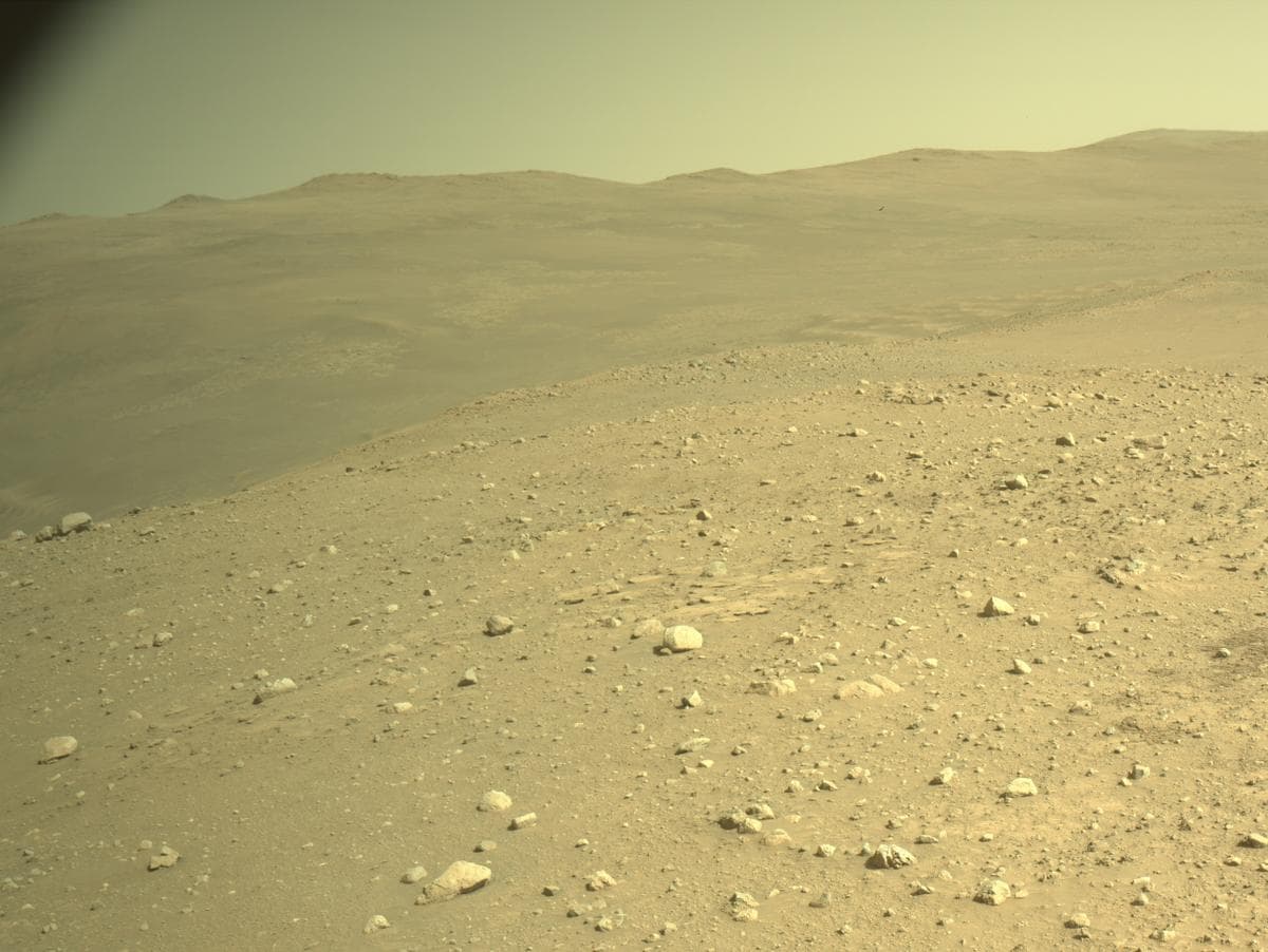 Mars image captured by NAVCAM_LEFT on Perseverance
