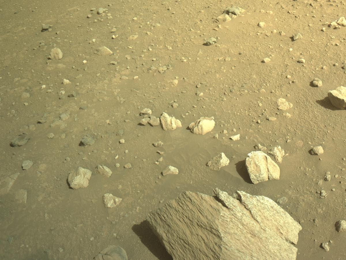 Mars image captured by NAVCAM_LEFT on Perseverance