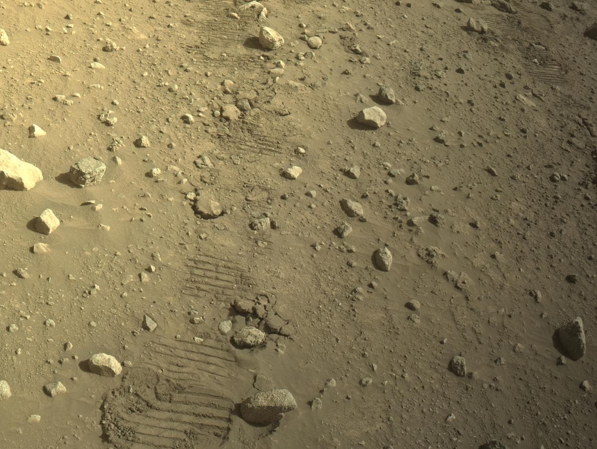 Mars image captured by NAVCAM_LEFT on Perseverance