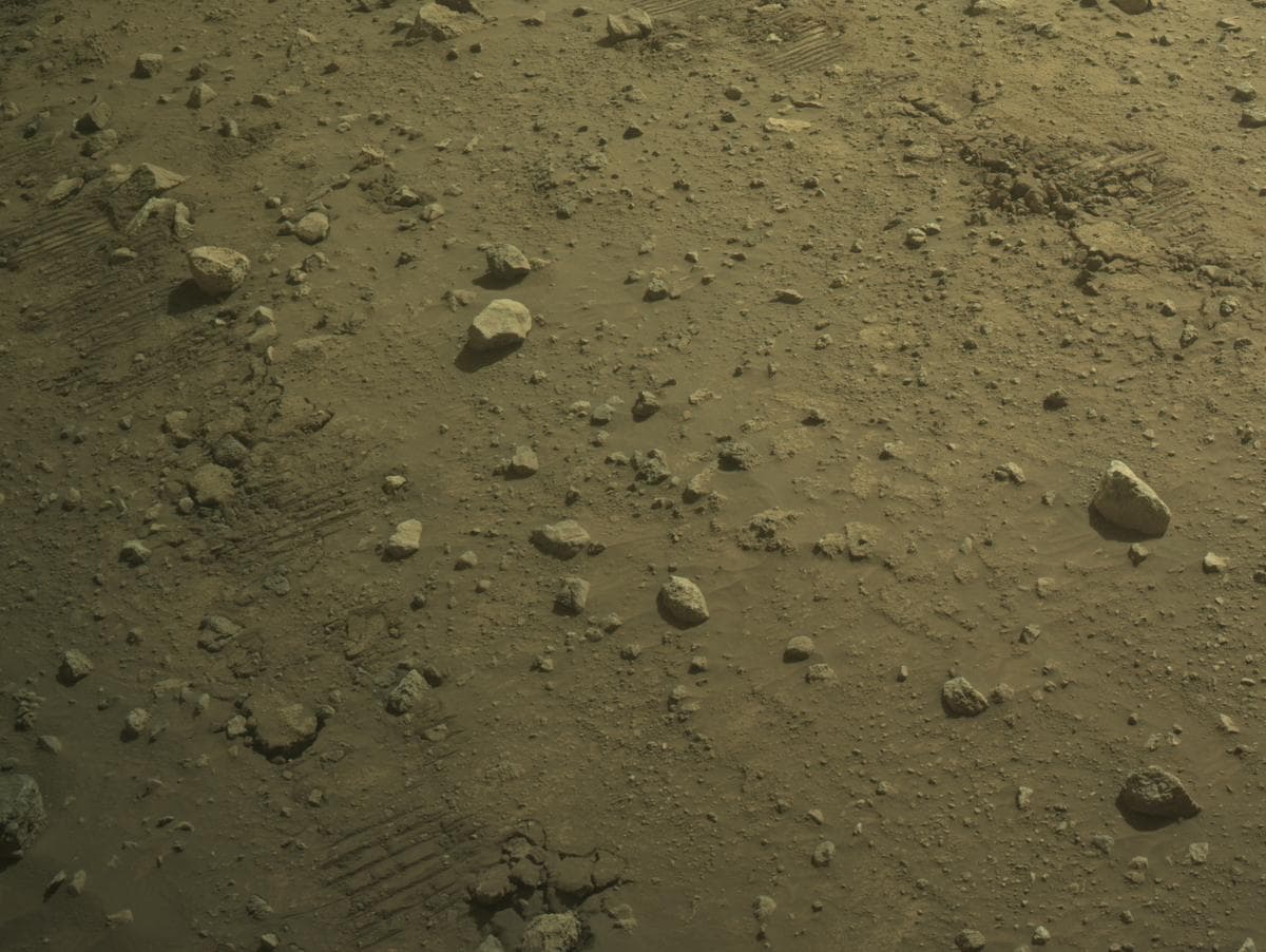 Mars image captured by NAVCAM_LEFT on Perseverance