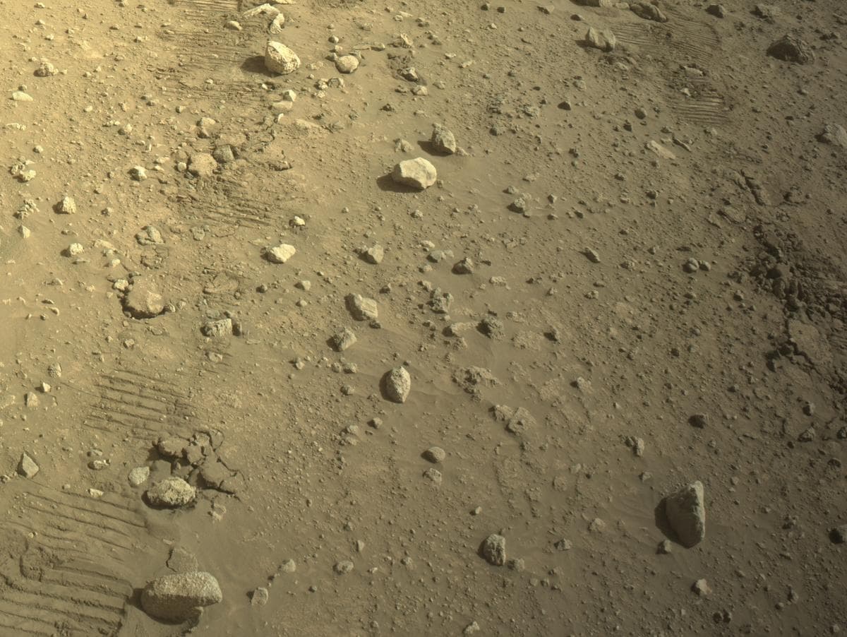 Mars image captured by NAVCAM_RIGHT on Perseverance
