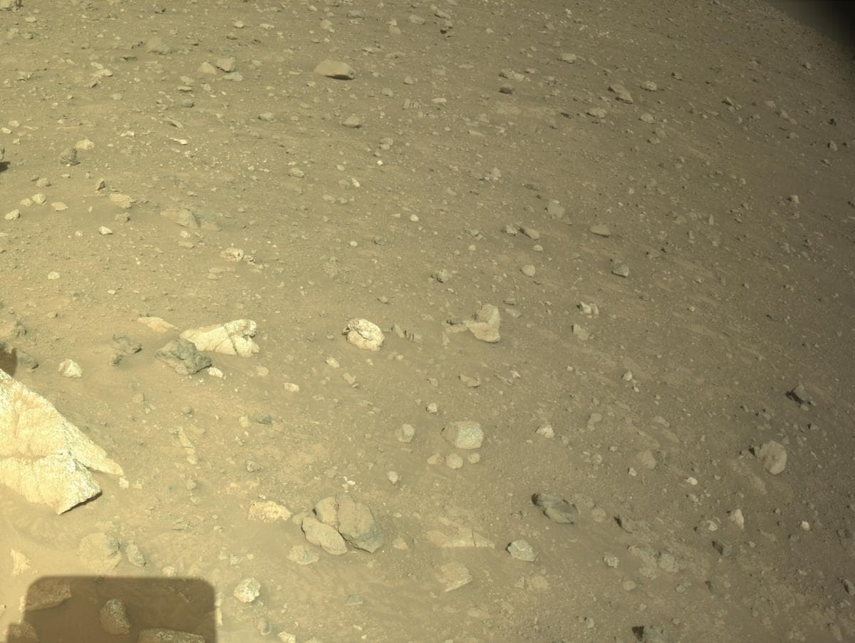 Mars image captured by NAVCAM_RIGHT on Perseverance