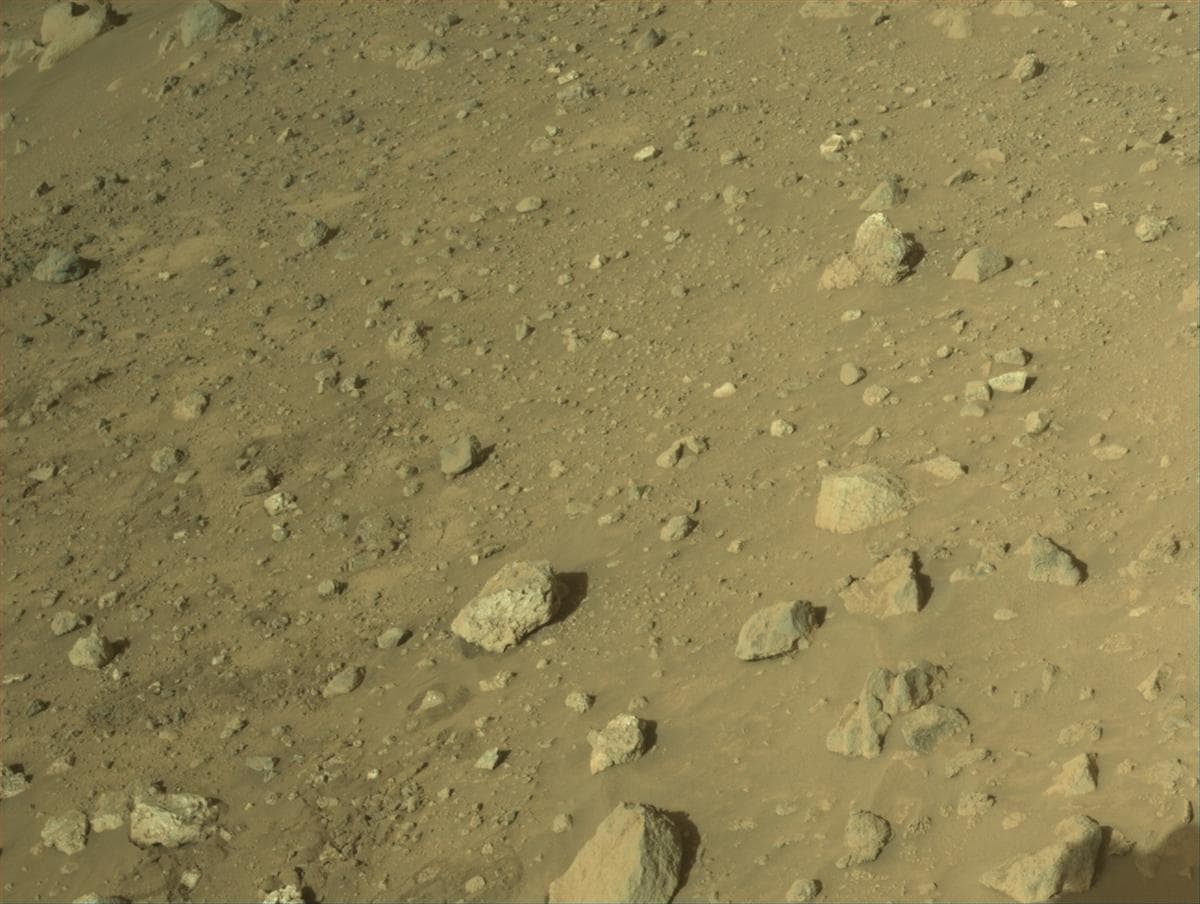 Mars image captured by NAVCAM_RIGHT on Perseverance