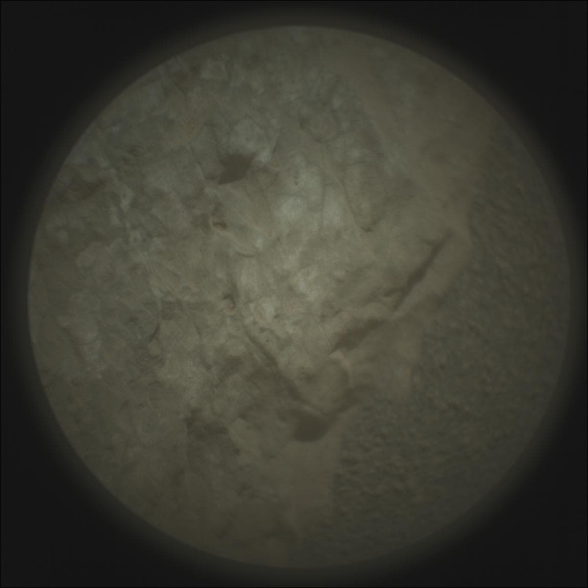 Mars rover photo