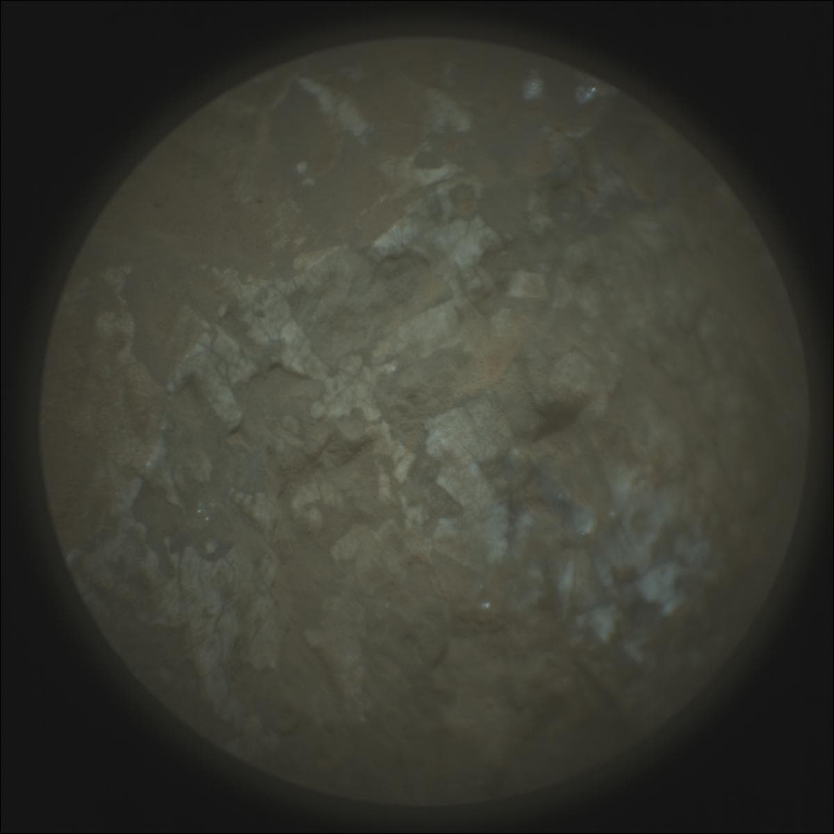 Mars rover photo