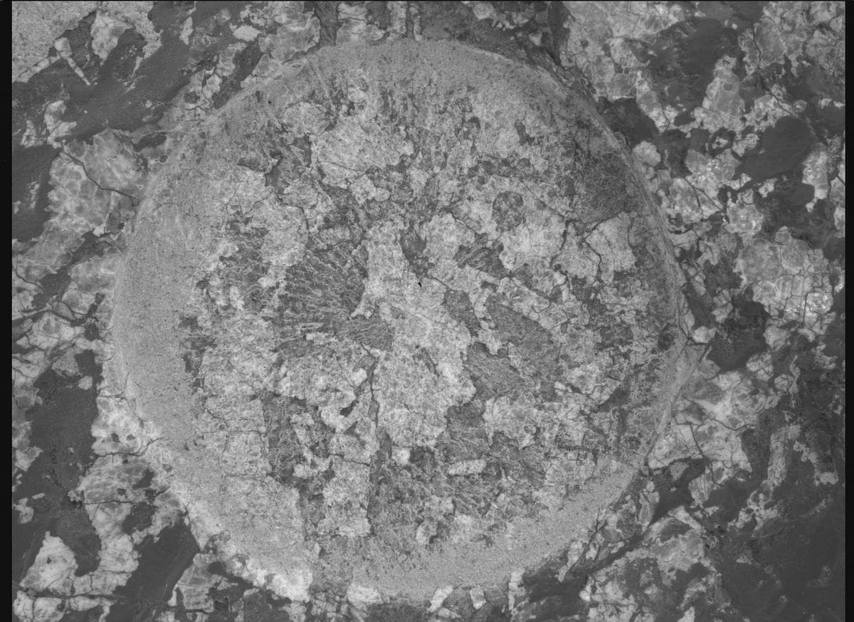 Mars image captured by SHERLOC_WATSON on Perseverance