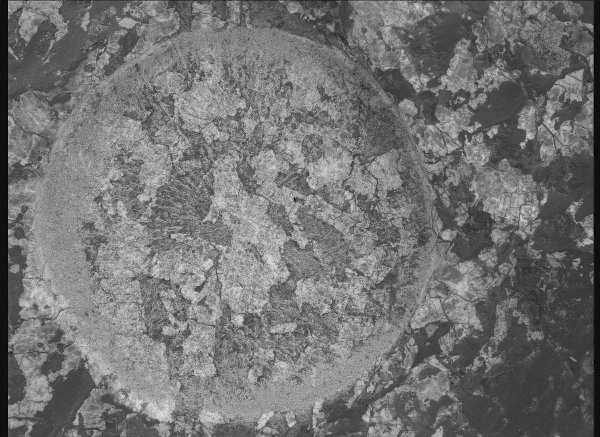 Mars image captured by SHERLOC_WATSON on Perseverance