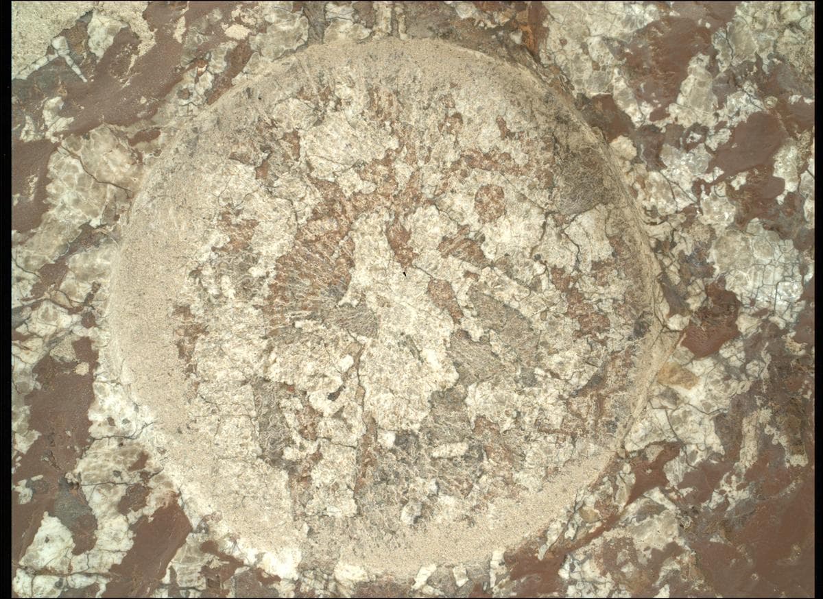 Mars image captured by SHERLOC_WATSON on Perseverance