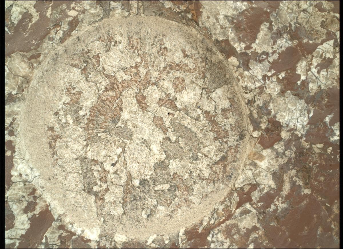 Mars image captured by SHERLOC_WATSON on Perseverance