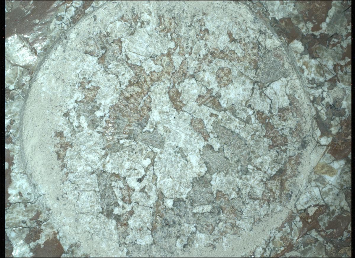 Mars image captured by SHERLOC_WATSON on Perseverance