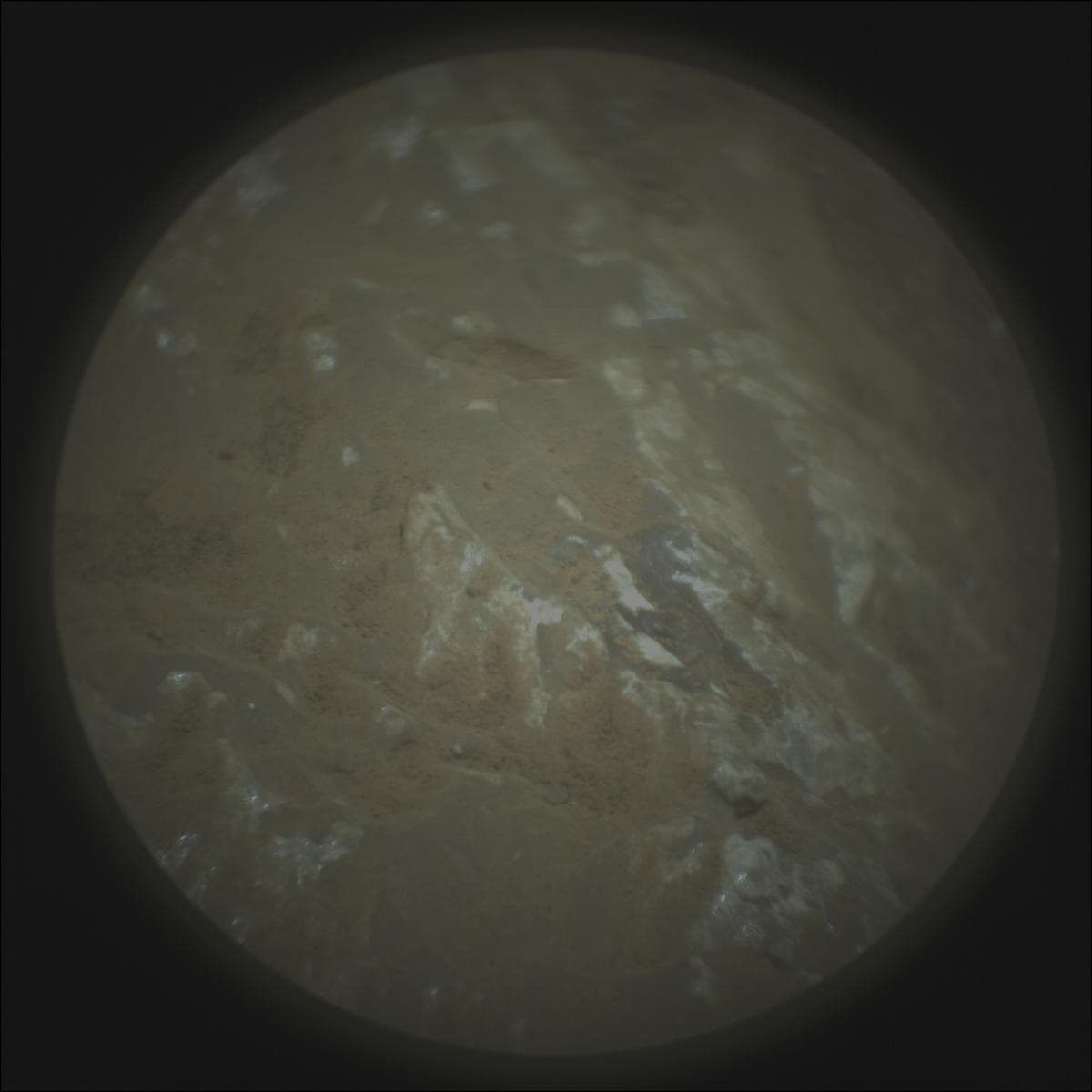 Mars image captured by SUPERCAM_RMI on Perseverance