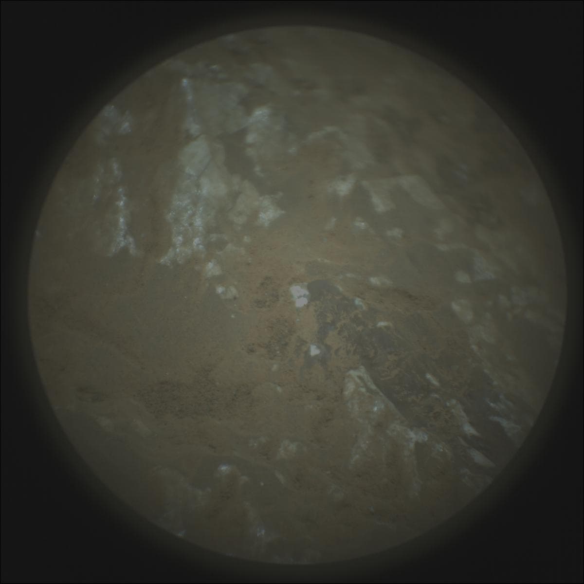 Mars image captured by SUPERCAM_RMI on Perseverance
