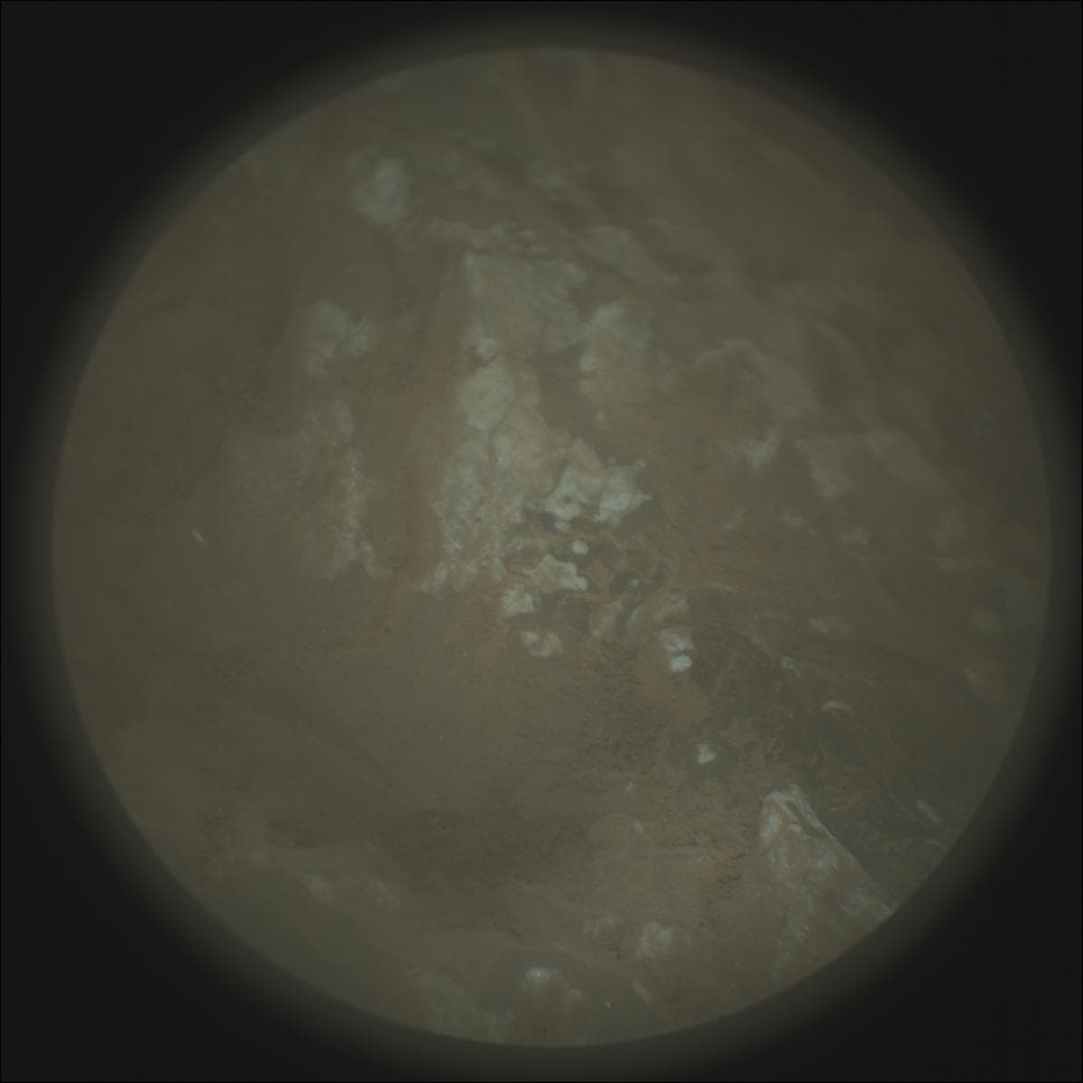 Mars image captured by SUPERCAM_RMI on Perseverance