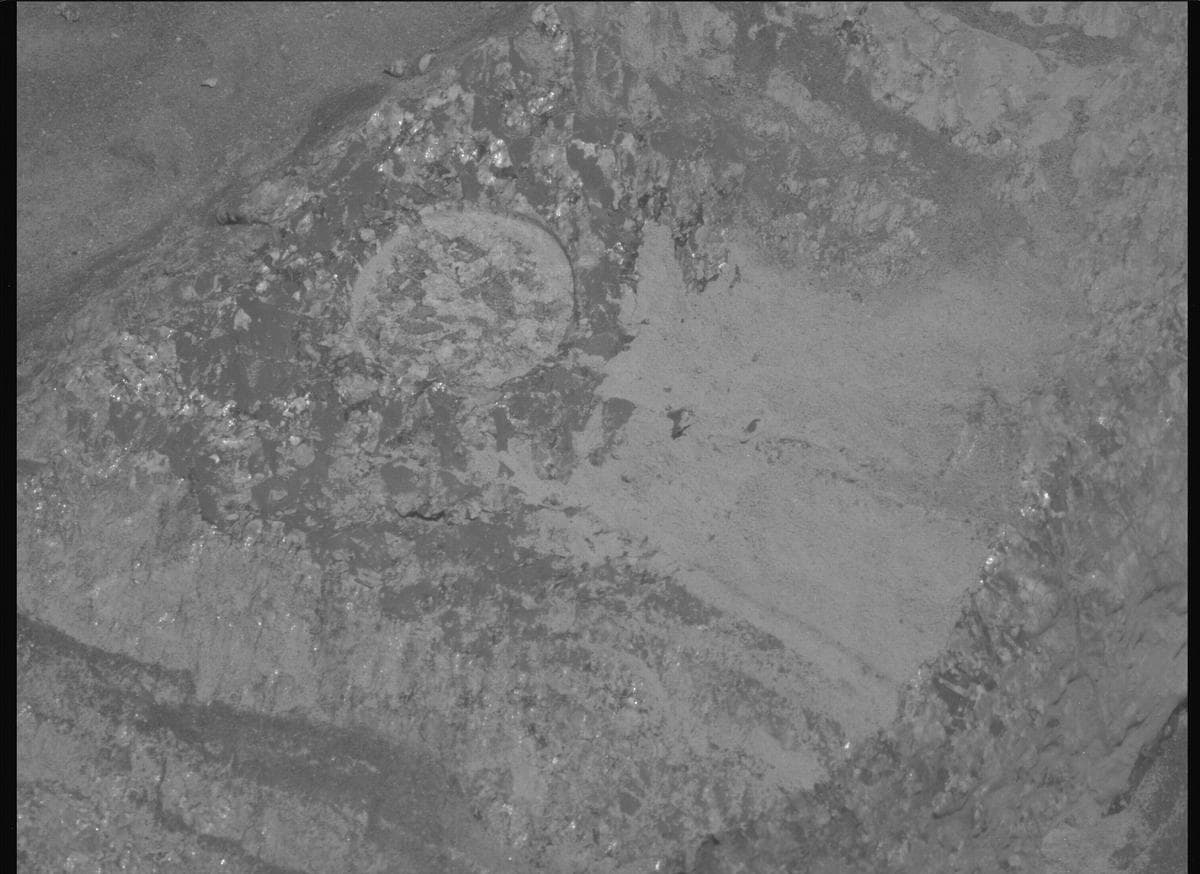 Mars image captured by MCZ_LEFT on Perseverance