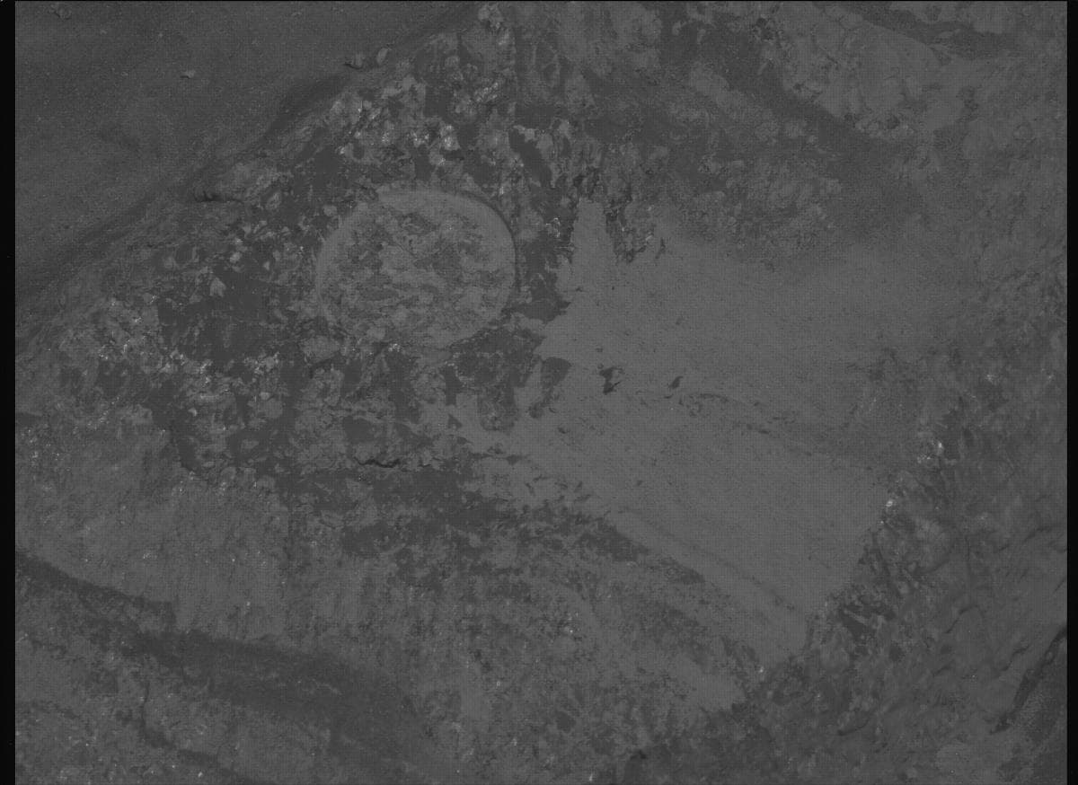Mars image captured by MCZ_LEFT on Perseverance
