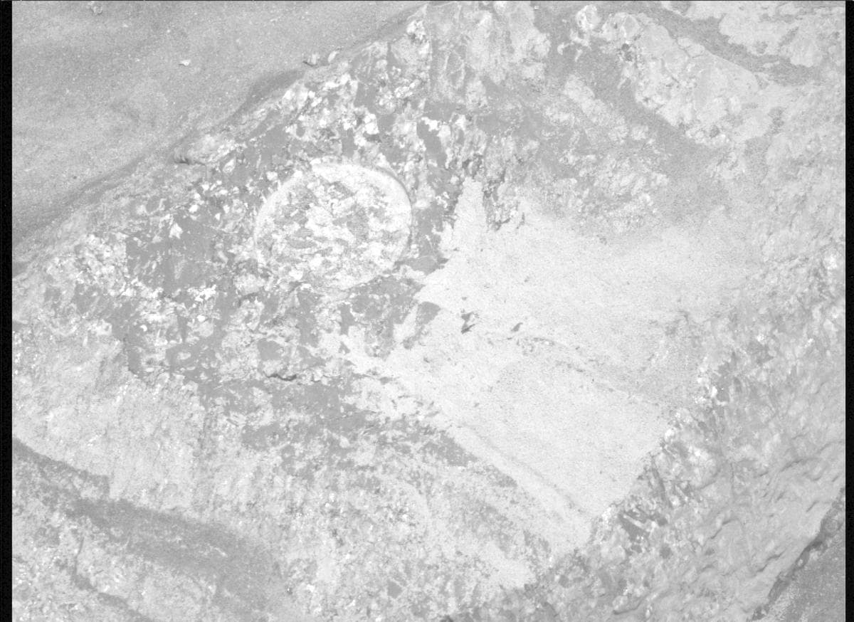 Mars image captured by MCZ_RIGHT on Perseverance