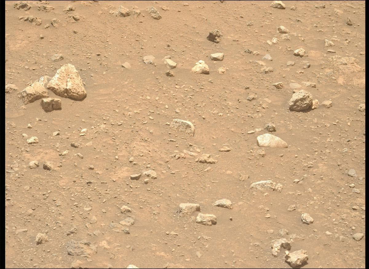 Mars image captured by MCZ_LEFT on Perseverance