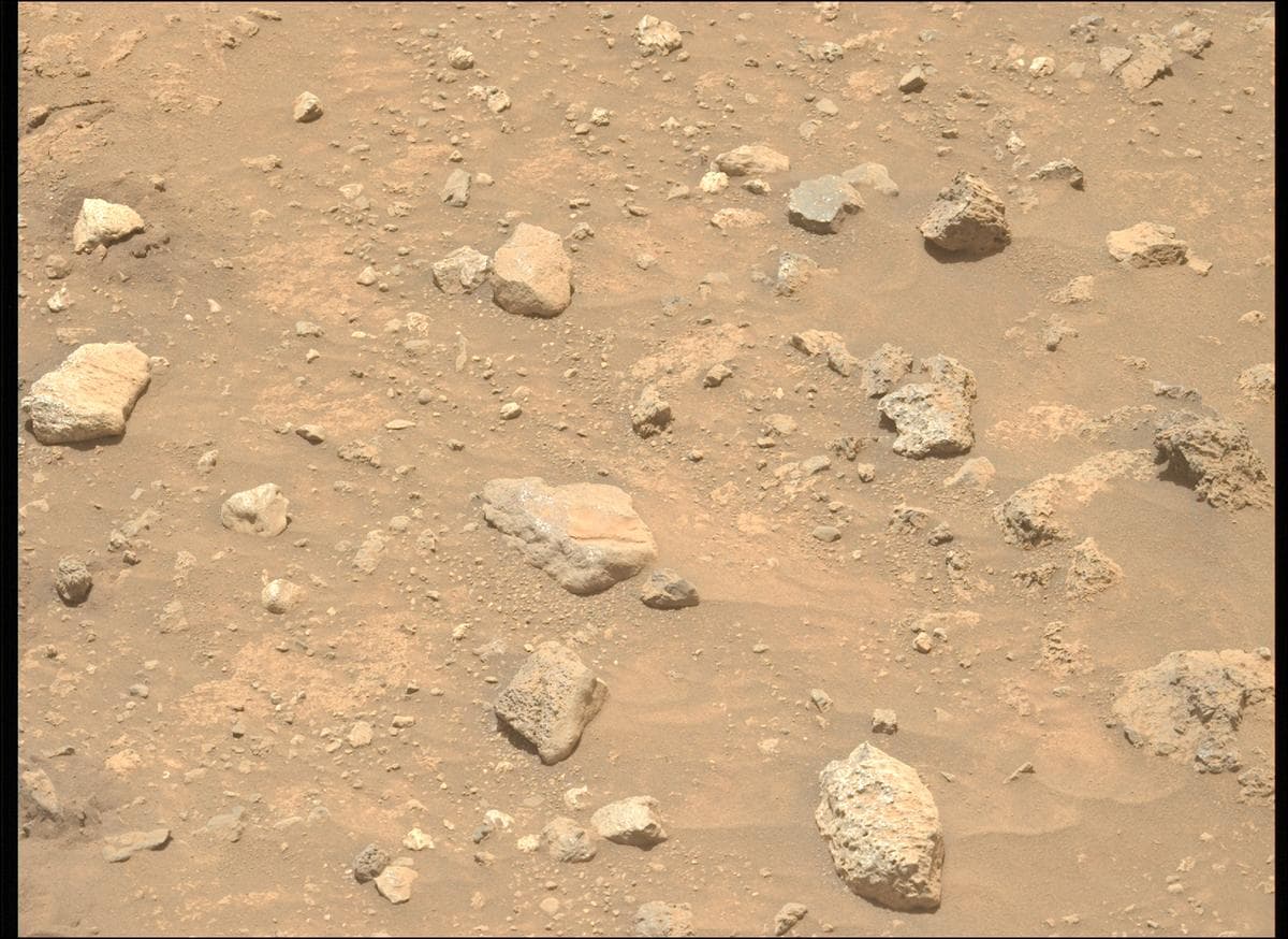 Mars image captured by MCZ_LEFT on Perseverance