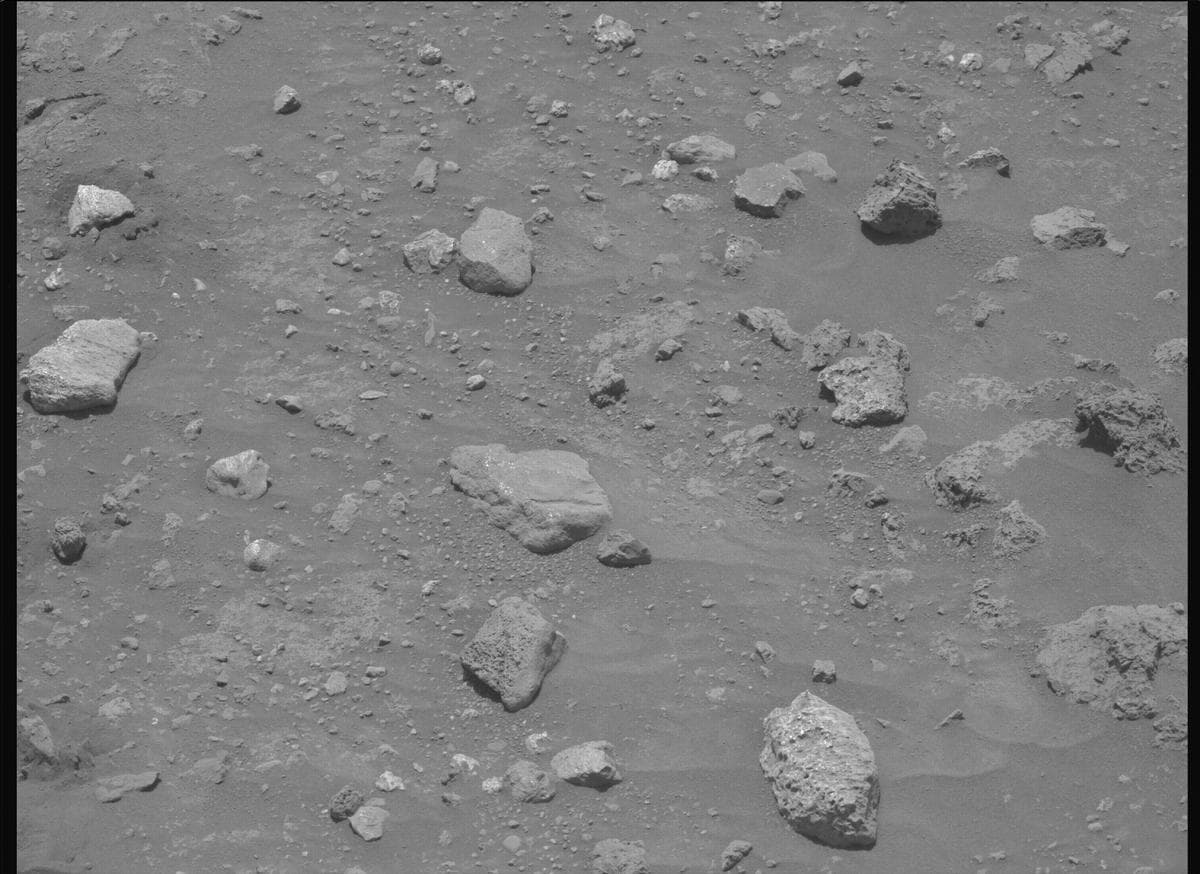 Mars image captured by MCZ_LEFT on Perseverance