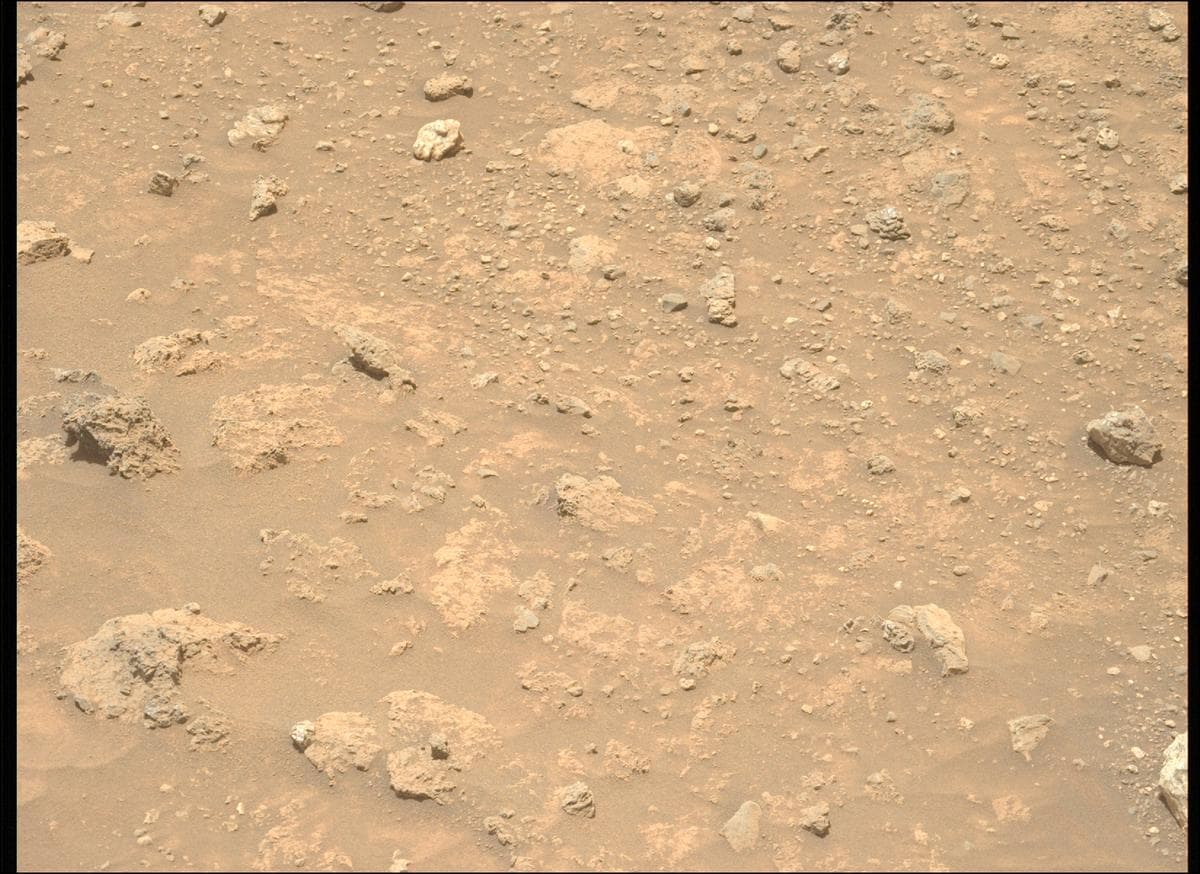 Mars image captured by MCZ_LEFT on Perseverance