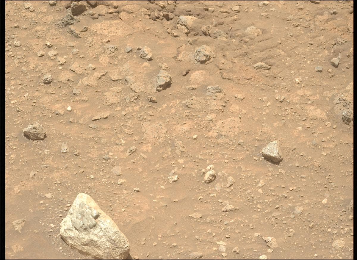 Mars image captured by MCZ_LEFT on Perseverance