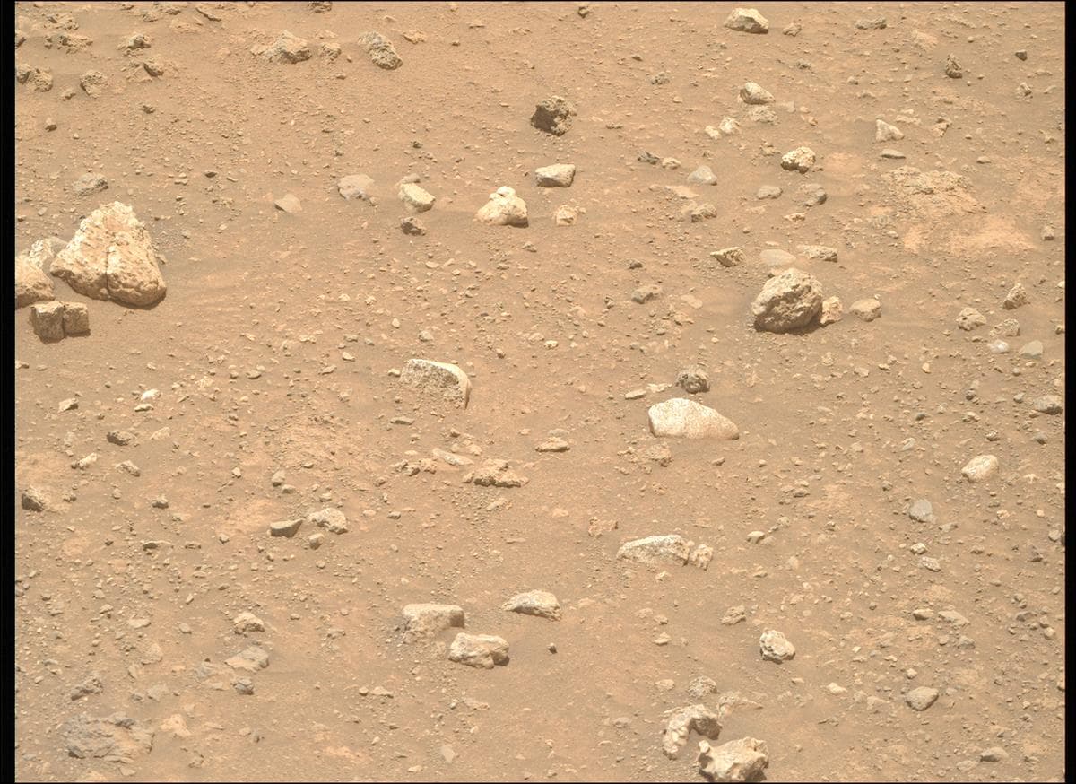 Mars image captured by MCZ_RIGHT on Perseverance