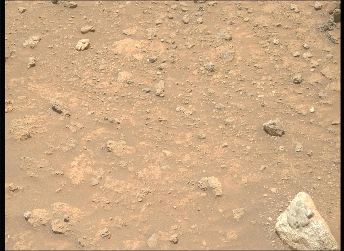 Mars image captured by MCZ_RIGHT on Perseverance