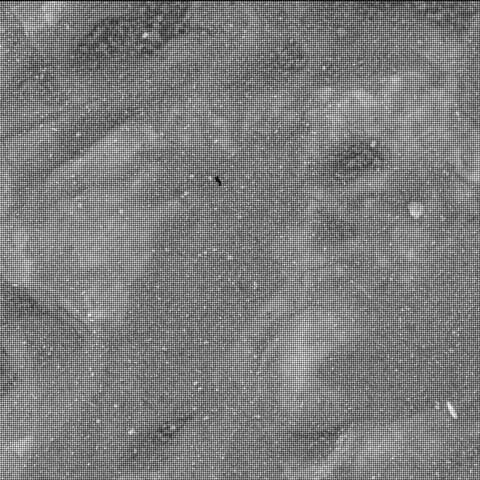 Mars image captured by SHERLOC_WATSON on Perseverance