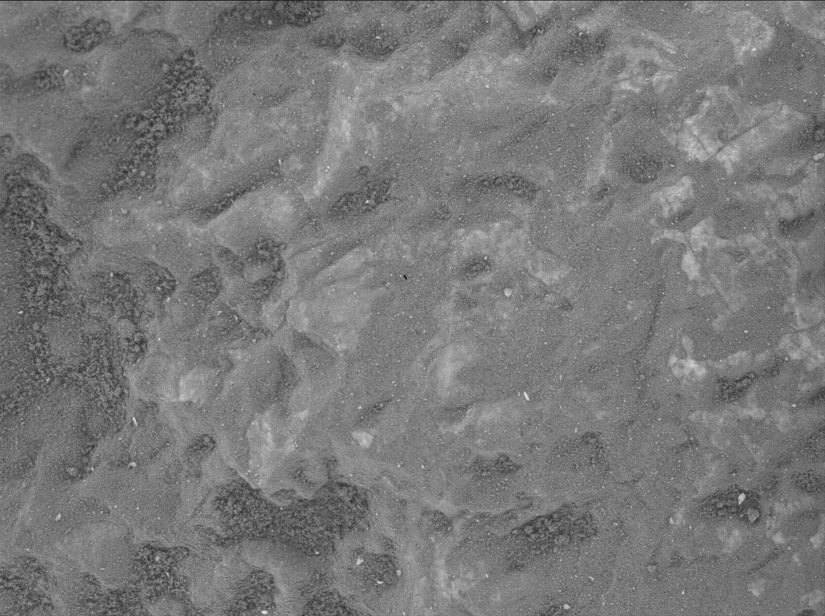 Mars image captured by SHERLOC_WATSON on Perseverance