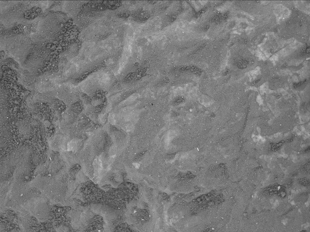 Mars image captured by SHERLOC_WATSON on Perseverance