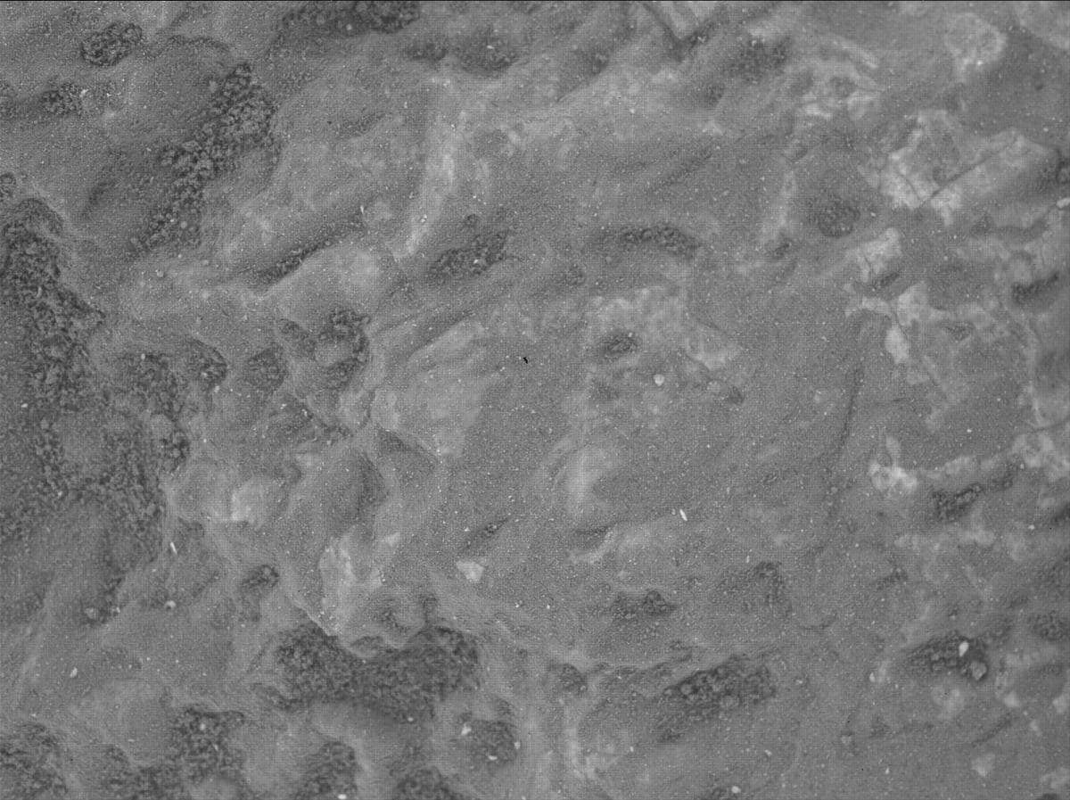Mars image captured by SHERLOC_WATSON on Perseverance