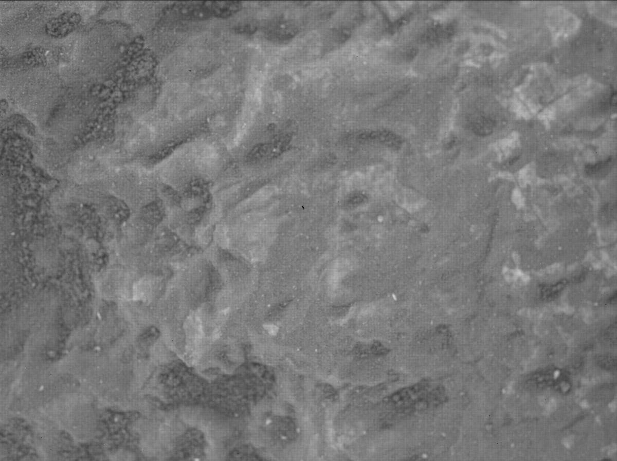 Mars image captured by SHERLOC_WATSON on Perseverance