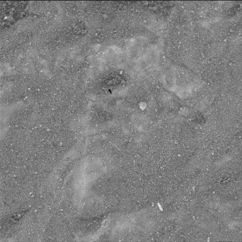 Mars image captured by SHERLOC_WATSON on Perseverance