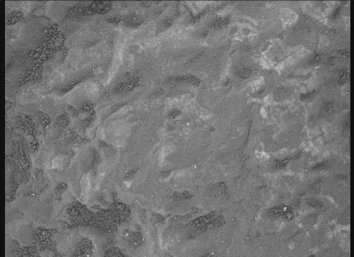 Mars image captured by SHERLOC_WATSON on Perseverance