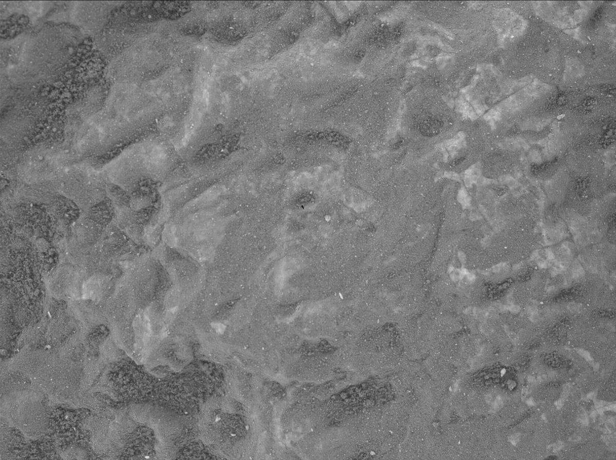 Mars image captured by SHERLOC_WATSON on Perseverance
