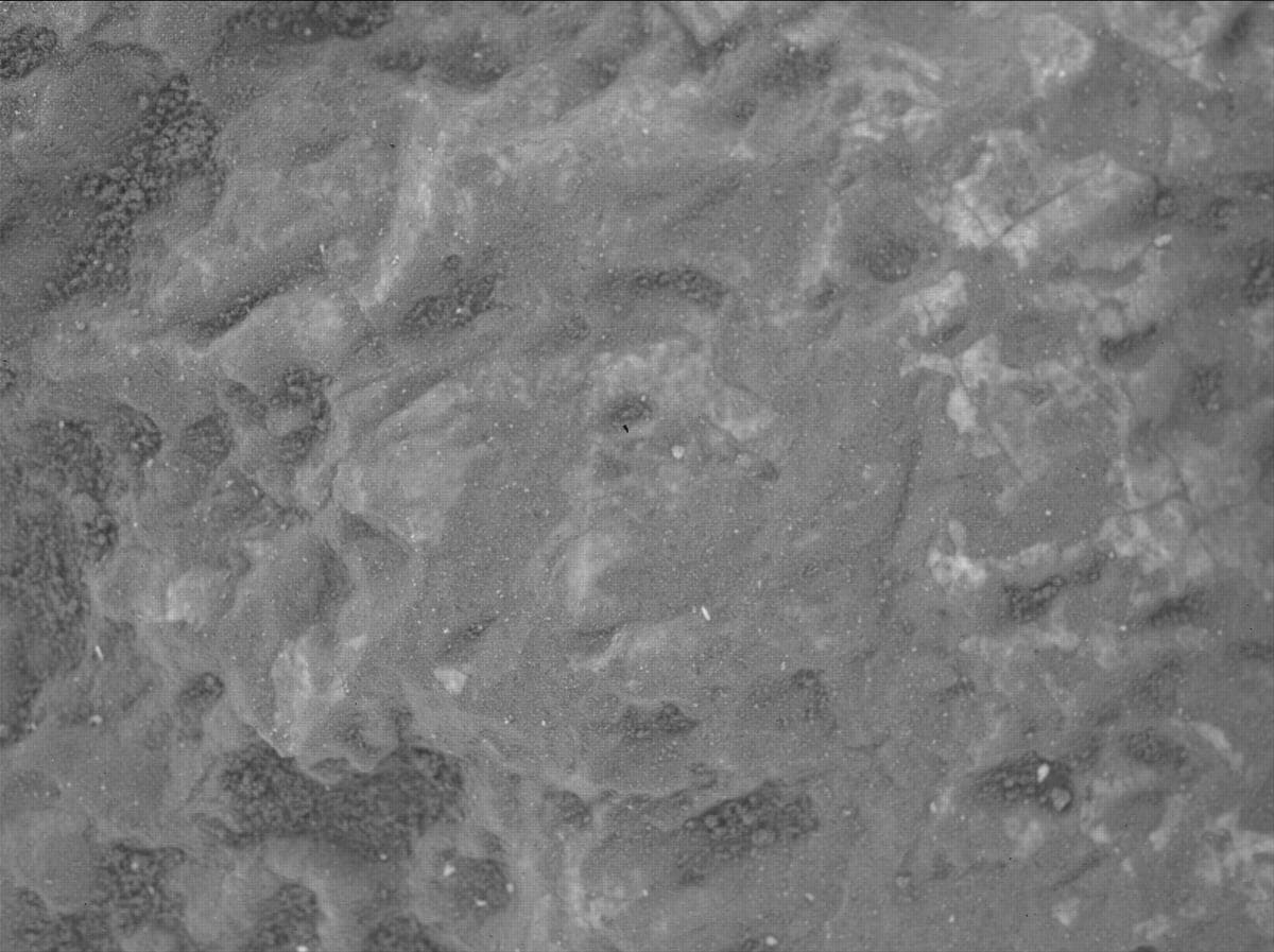 Mars image captured by SHERLOC_WATSON on Perseverance