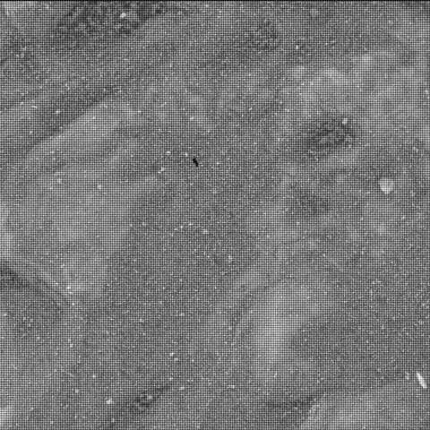Mars image captured by SHERLOC_WATSON on Perseverance