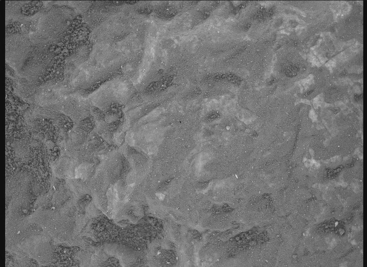 Mars image captured by SHERLOC_WATSON on Perseverance