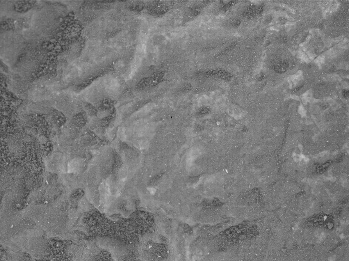 Mars image captured by SHERLOC_WATSON on Perseverance